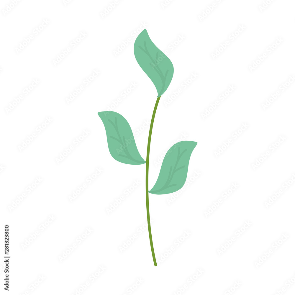 branch with leafs plants garden branch with leafs plants garden