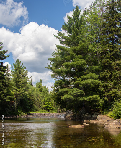 A wide river flowing through the Algonquin Park forest in summer