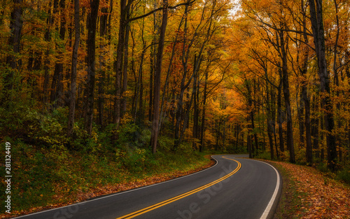 Winding Autumn Path In The Smoky Mountains