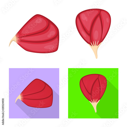 Isolated object of fiber and muscular icon. Collection of fiber and body vector icon for stock.
