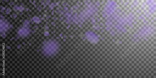 Violet flower petals falling down. Exceptional rom