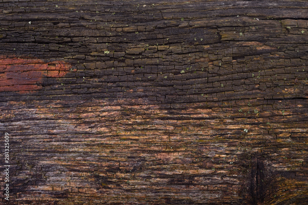 Fototapeta premium Old wooden background.