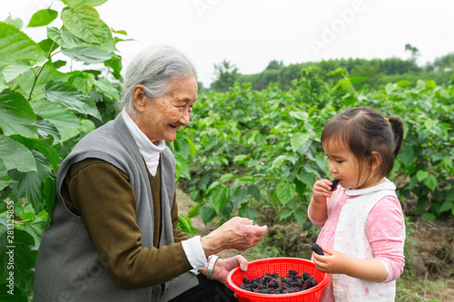 Girl with her grandmother eating mulberry in garden