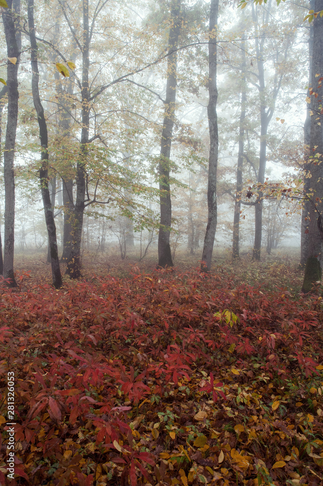 Autumn landscape Autumn landscape