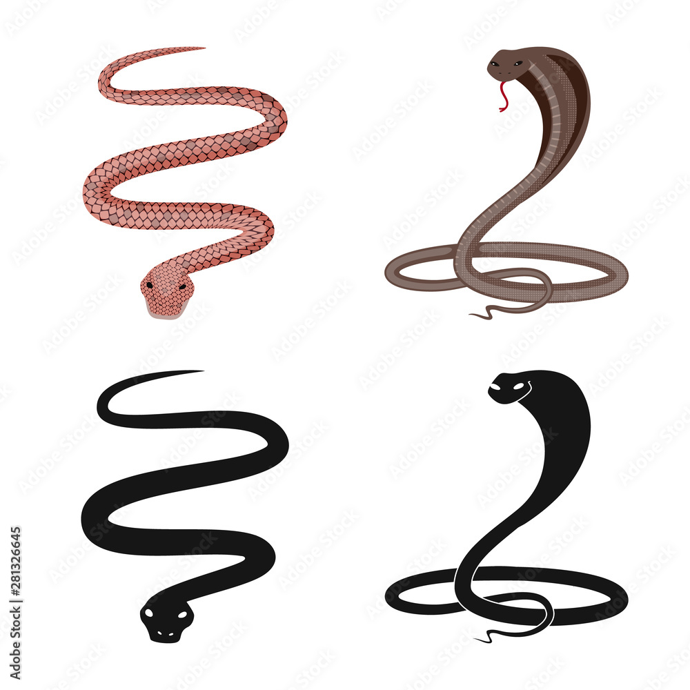 Isolated object of mammal and danger icon. Set of mammal and medicine stock vector illustration. Isolated object of mammal and danger icon. Set of mammal and medicine stock vector illustration.