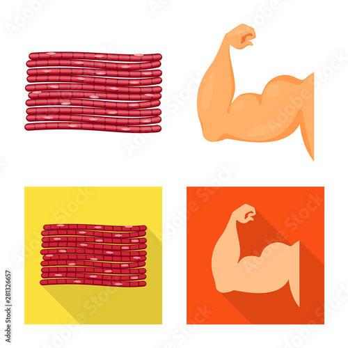 Isolated object of fiber and muscular sign. Set of fiber and body vector icon for stock.