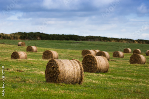 Rural landscape with rolls of hay bale spread across the field on a cloudy summer day