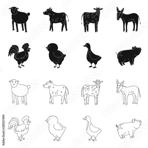 Vector design of breeding and kitchen sign. Set of breeding and organic stock symbol for web.