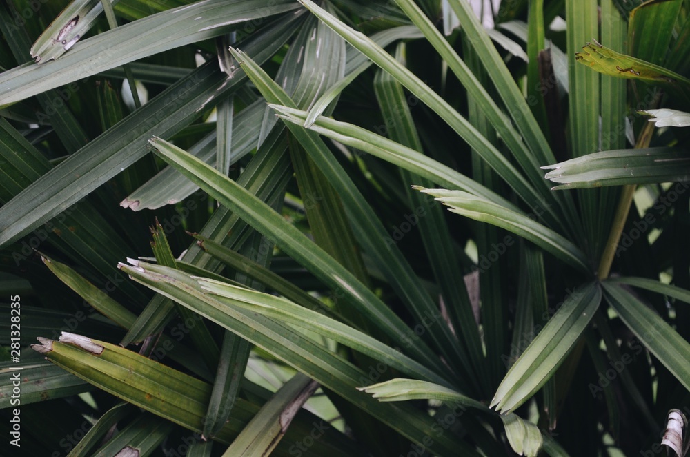 Processed with VSCO with a6 preset Processed with VSCO with a6 preset