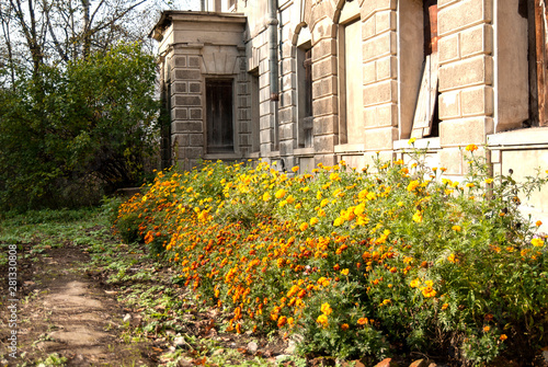 fragment of the abandoned ruined Manor of Pushchino - on - Oka, Moscow region, Serpukhov district