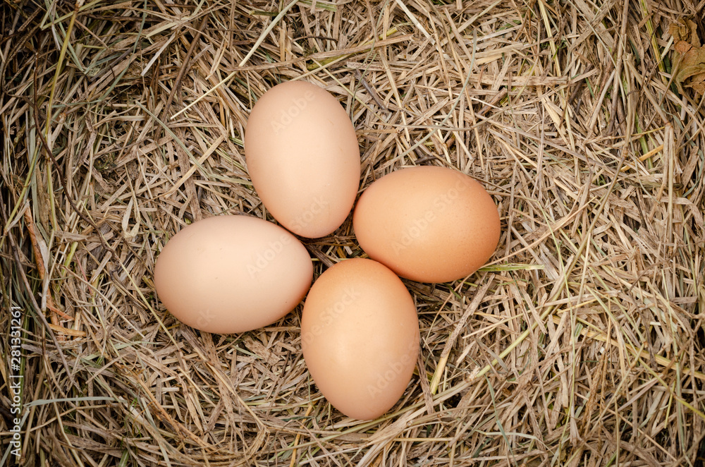 fresh chicken eggs with nest,A pile of brown eggs in a nest