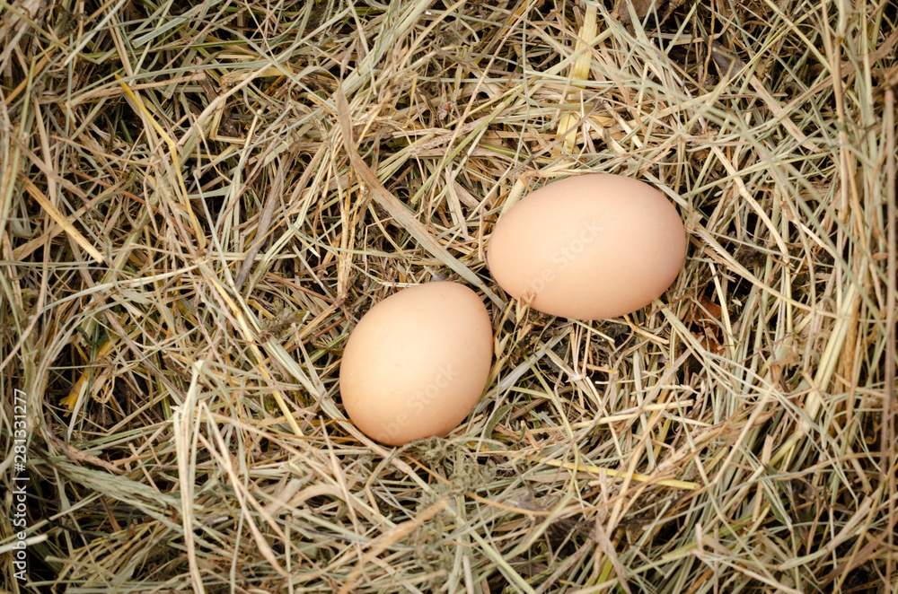 fresh chicken eggs with nest,A pile of brown eggs in a nest fresh chicken eggs with nest,A pile of brown eggs in a nest