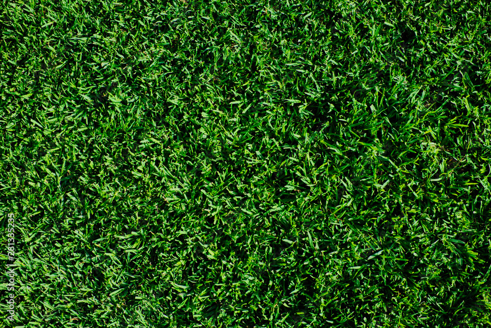 Fresh green grass texture pattern, field or lawn surface, top view. Fresh green grass texture pattern, field or lawn surface, top view.