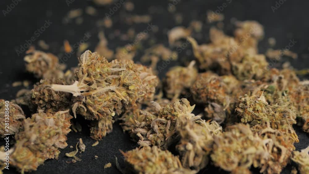 Medical marijuana, flower buds cannabis Background, marijuana, weed buds drop, legalization coffee shop Medical marijuana, flower buds cannabis Background, marijuana, weed buds drop, legalization coffee shop