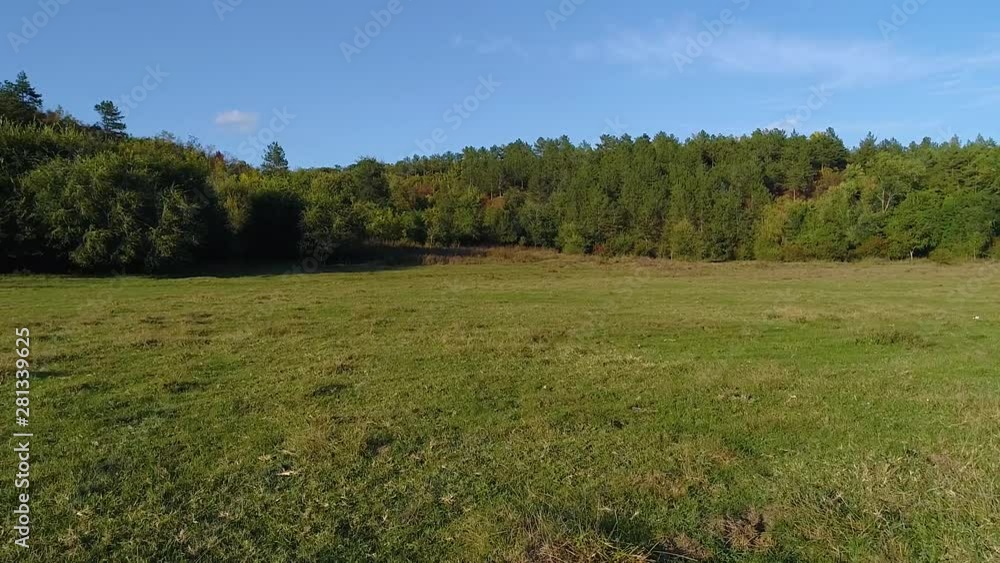 A meadow at the edge of a forest filmed with a drone. A meadow at the edge of a forest filmed with a drone.