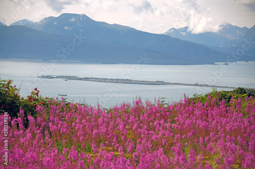 The Homer Spit in Kachemak Bay with fireweed in the foreground - Homer, Alaska photo