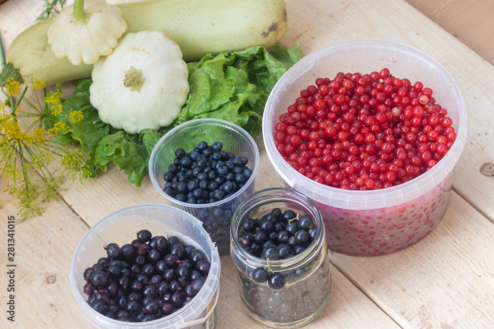 Berries from his garden. Garden berries. Berries from the bushes. Red currant black currant gooseberry. Variety of berries. Berries from his garden. Garden berries. Berries from the bushes. Red currant black currant gooseberry. Variety of berries.