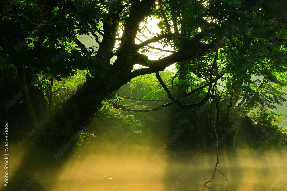 Obraz premium 岩手県西和賀町 夏の弁天島