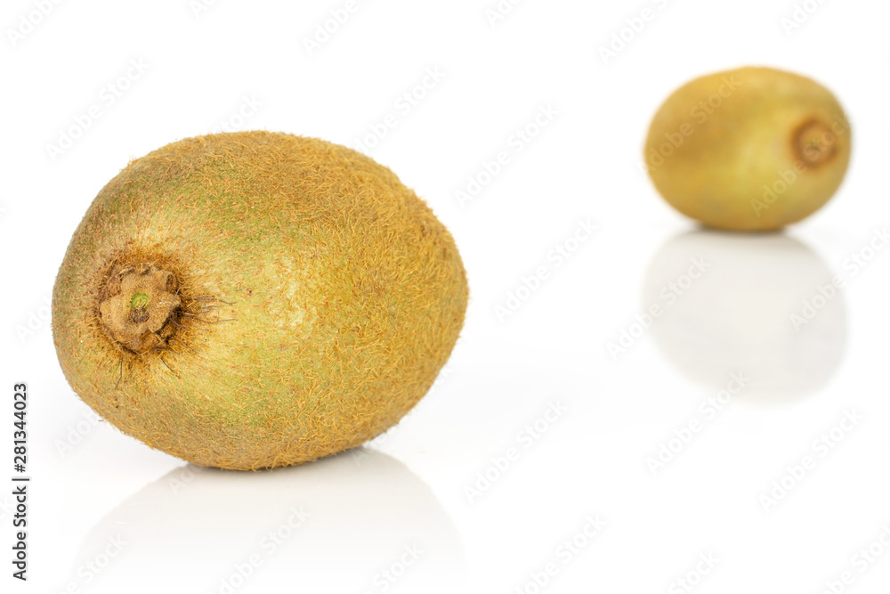Group of two whole fresh green kiwifruit actinidia deliciosa one is in the front isolated on white background Group of two whole fresh green kiwifruit actinidia deliciosa one is in the front isolated on white background