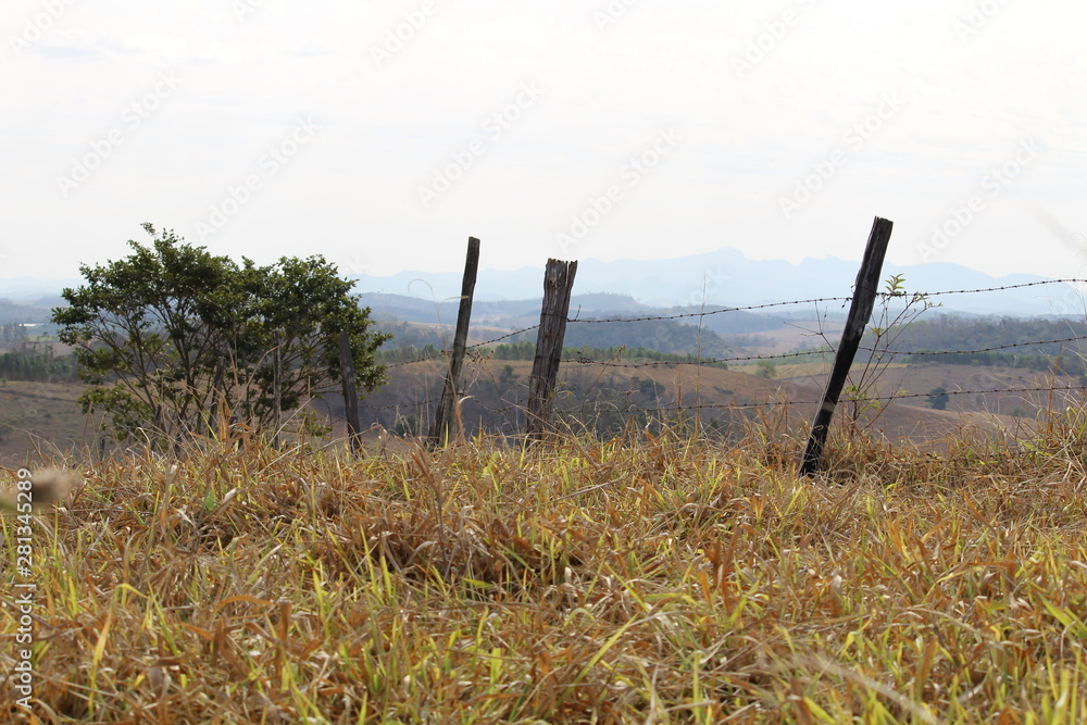 Paisagem rural