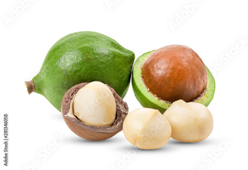 macadamia nuts isolated on white background. full depth of field