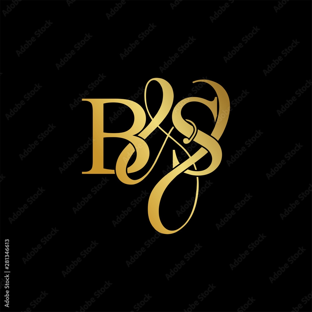 Vecteur Stock Initial letter B & S BS luxury art vector mark logo, gold  color on black background. | Adobe Stock