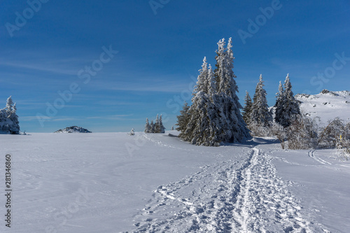 Winter landscape of Vitosha Mountain, Bulgaria