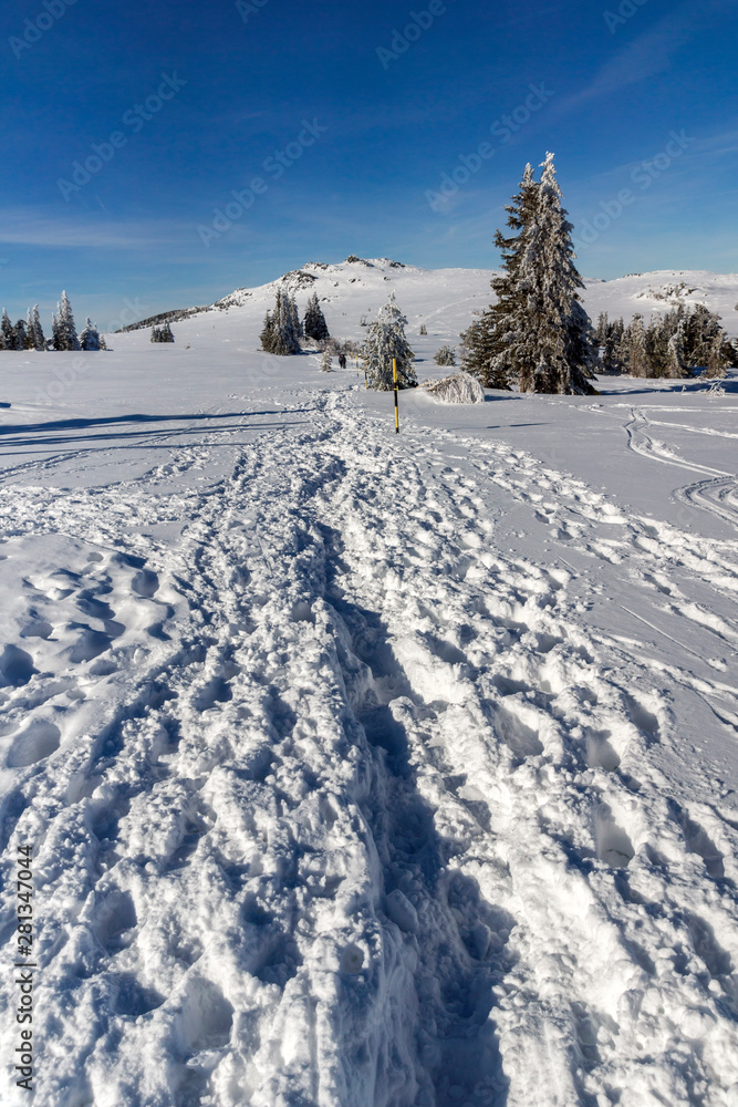 Winter landscape of Vitosha Mountain, Bulgaria