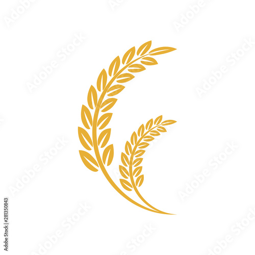 Wheat plant icon. Growing Plant Agriculture wheat Grain Sign Symbol Icon vector isolated on white background. Agriculture wheat vector Illustration.
