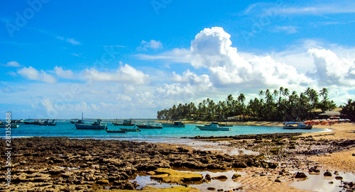 Fotografía Praia tropical com seus corais e coqueiros, praia do Forte, estado da Bahia, Bra