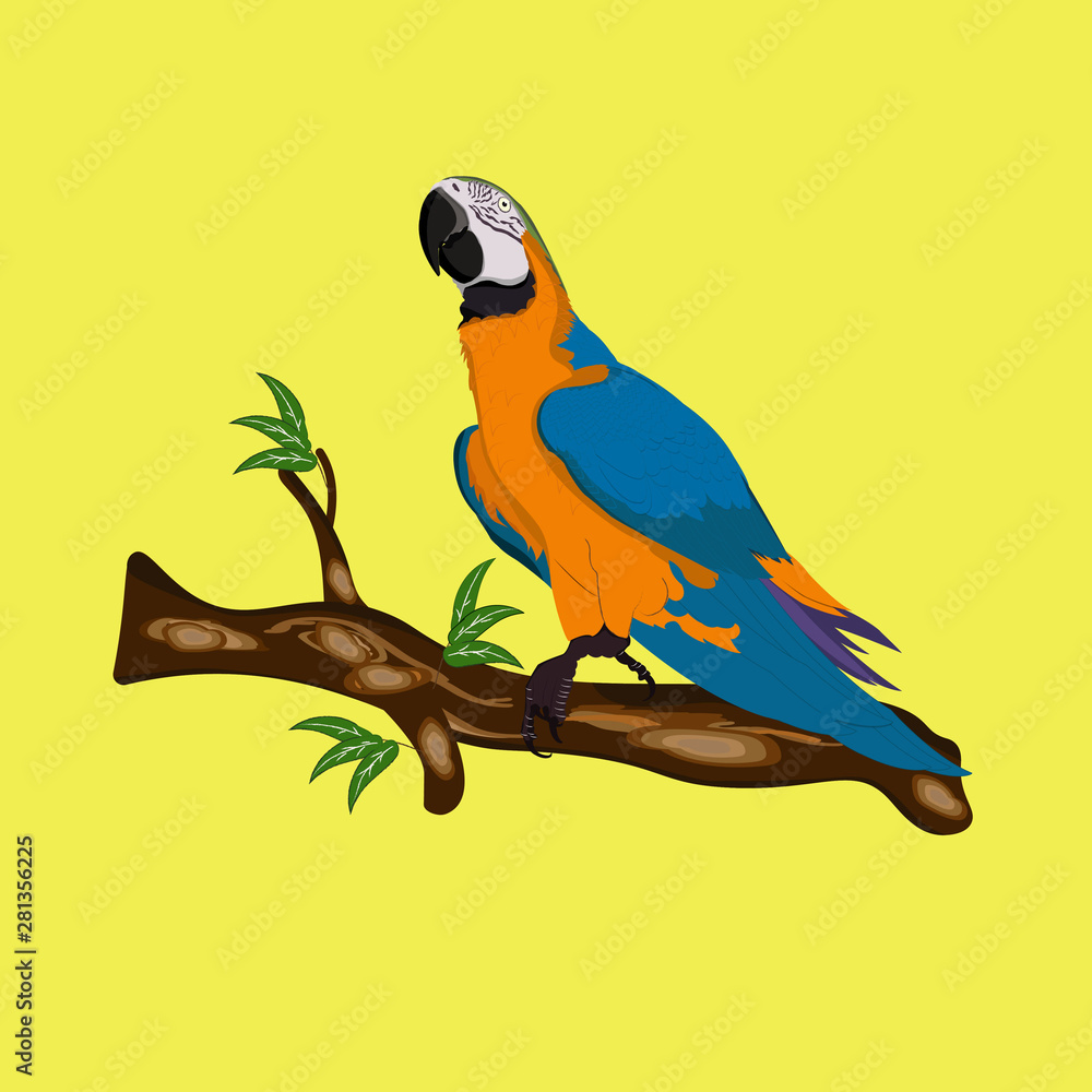 Bird Blue-and-yellow macaw standing on branches vector illustration
