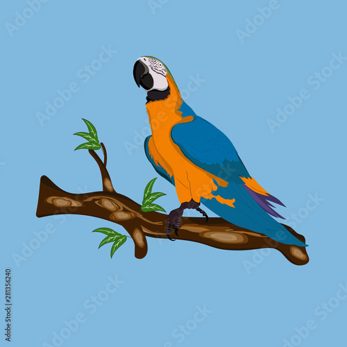 Bird Blue-and-blue macaw standing on branches vector illustration