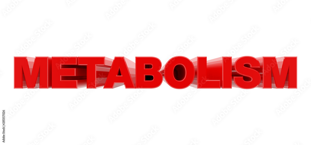 METABOLISM red word on white background illustration 3D rendering METABOLISM red word on white background illustration 3D rendering