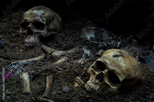 Human skull and bones with old timbers digged from the pit in the dark forest or gravyard,concept of scary crime scene of horror or thriller movies,Halloween theme, visual art ,still life style 