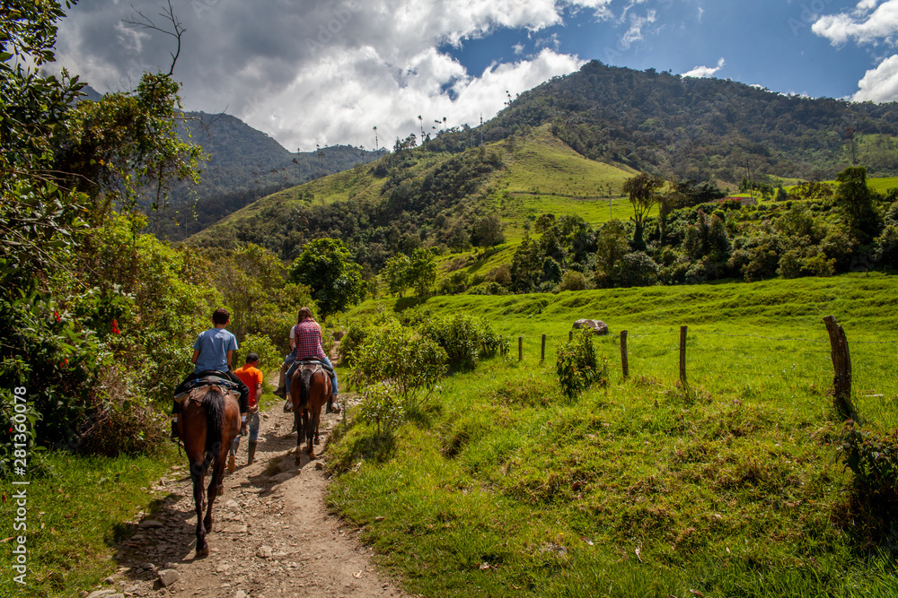 Randonnée a cheval dans la vallée de Cocora avec ses palmiers géant prés de Salento, Colombie