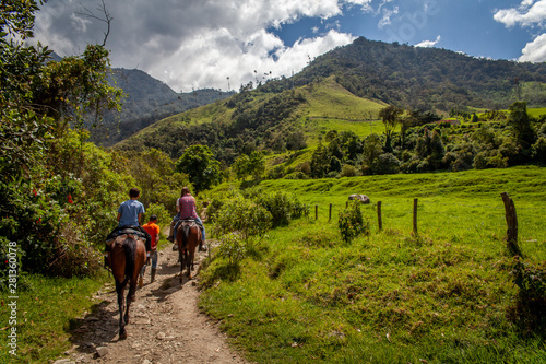 Randonnée a cheval dans la vallée de Cocora avec ses palmiers géant prés de Salento, Colombie photo