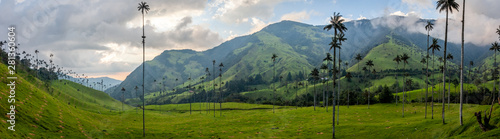 Panorama de la vallée de Cocora avec ses palmiers géant prés de Salento, Colombie photo