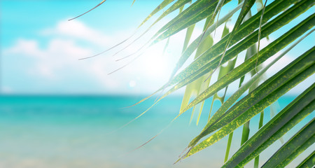 Keuken achterwand Turquoise Clear blue sea with flare sunny sky summer season with cloud and green coconut tree leaves in foreground background.  © iareCottonStudio