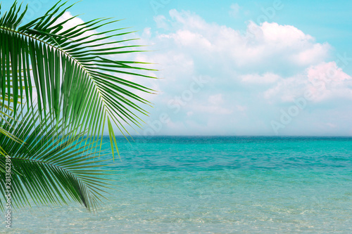 Fototapeta Naklejka Na Ścianę i Meble -  Photo of clear blue sea with sunny sky summer season with cloud and green coconut tree leaves in foreground background.
