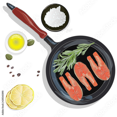 Raw salmon fillets on the pan with herbs. White background. Vector illustration, separated layers.