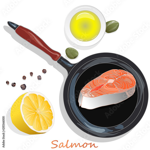 Raw salmon fillets on the pan with herbs. White background. Vector illustration, separated layers.
