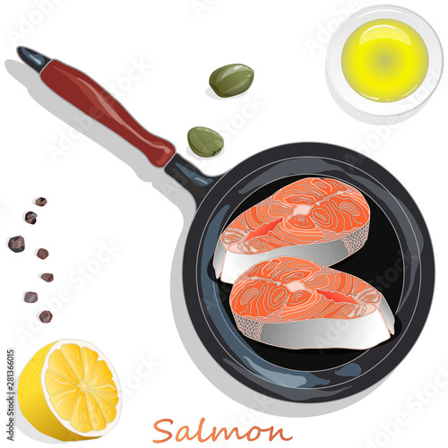 Raw salmon fillets on the pan with herbs. White background. Vector illustration, separated layers.