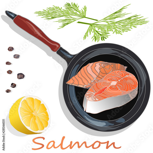 Raw salmon fillets on the pan with herbs. White background. Vector illustration, separated layers.