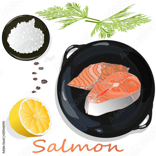 Raw salmon fillets on the pan with herbs. White background. Vector illustration, separated layers.