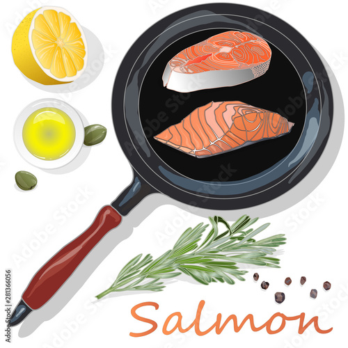 Raw salmon fillets on the pan with herbs. White background. Vector illustration, separated layers.