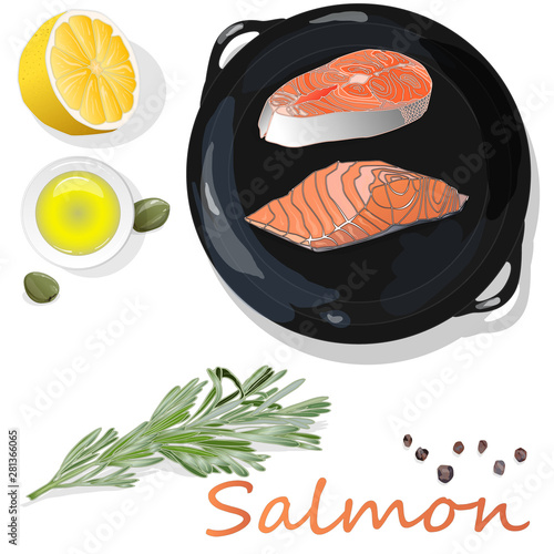 Raw salmon fillets on the pan with herbs. White background. Vector illustration, separated layers.