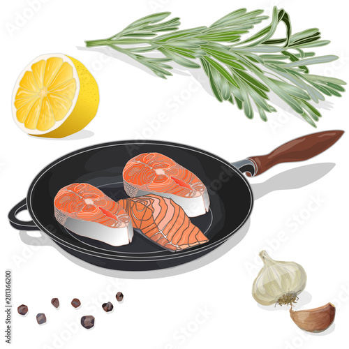 Raw salmon fillets on the pan with herbs. White background. Vector illustration, separated layers.