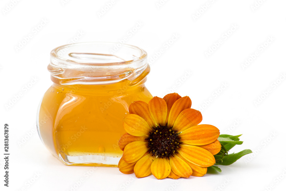 honey and flower honey and flower