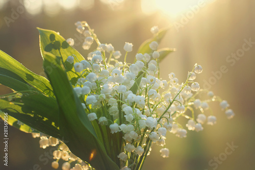 Delicate bouquet of lilies of the valley on the background of the dawn sun