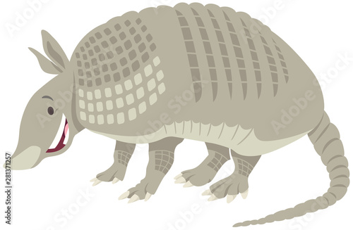 armadillo animal cartoon illustration